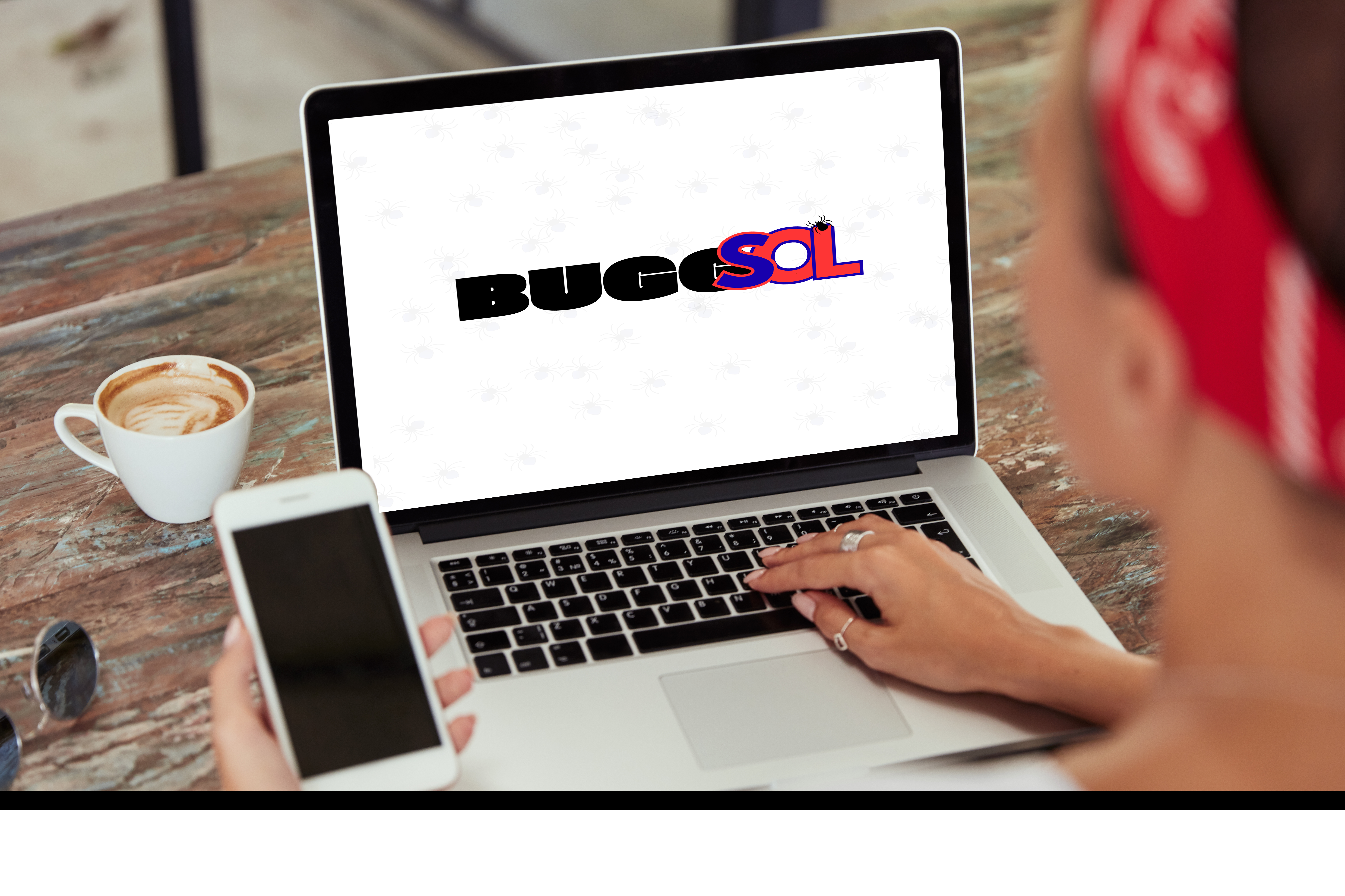 BuggSol website